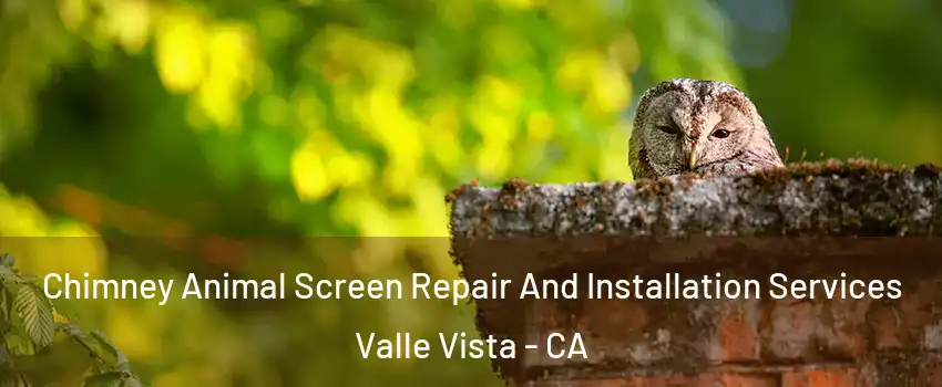  Chimney Animal Screen Repair And Installation Services Valle Vista - CA