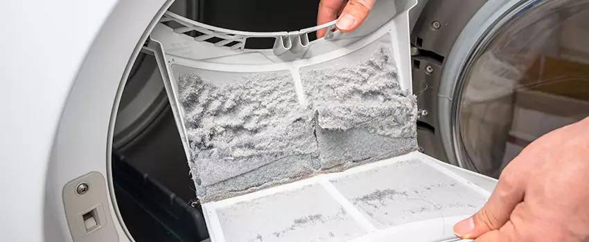 Best Dryer Lint Removal Company in Valle Vista, California